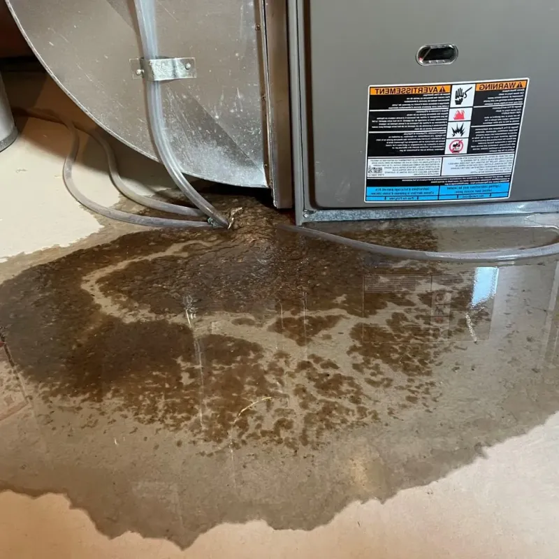Pipe Burst and Leak Restoration in Harrisonburg, LA